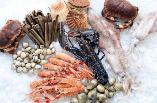Que beneficios tiene el Omega 3 - 4