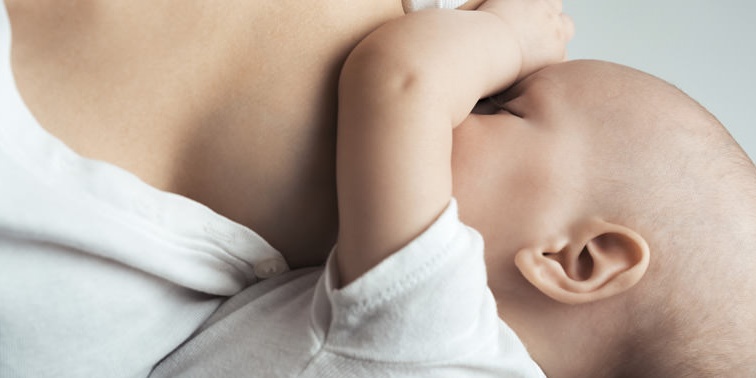 Leche materna e Immunocal - 2