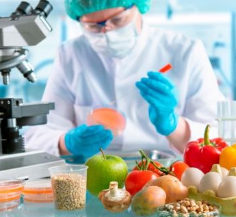 Las funciones de las proteínas - 2
