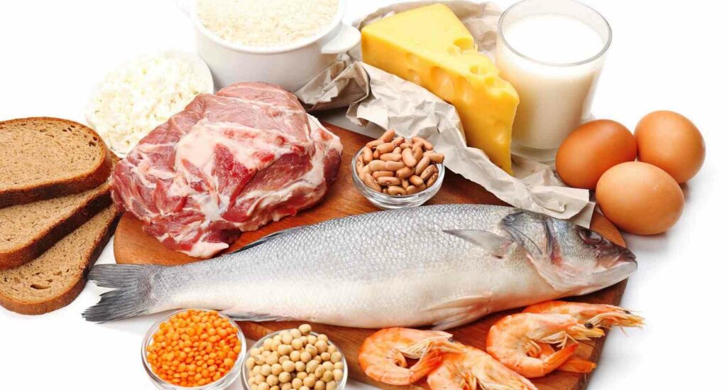 Las funciones de las proteínas 5