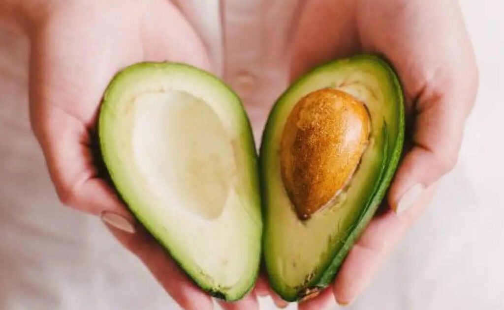 El aguacate 3